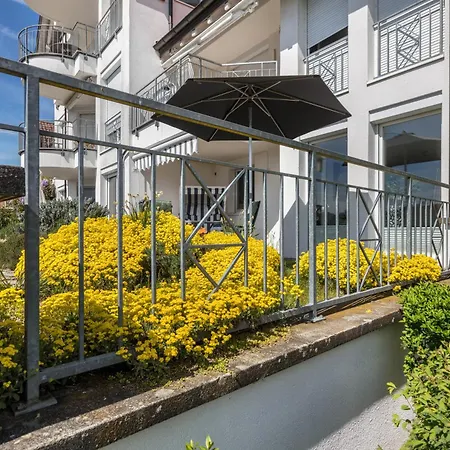 Rheinblick Apartment