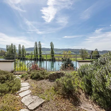 Rheinblick Appartement Kussaberg